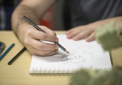 A student draws a plant during an art class.