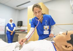 KCC Nursing students work with a patient simulator in a Nursing Lab on campus.