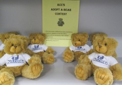 A photo of teddy bears set out for a giveaway at KCC's Eastern Academic Center in Albion