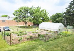 The community garden on KCC's North Avenue campus in Battle Creek.
