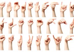 Hands signing the alphabet in American Sign Language.