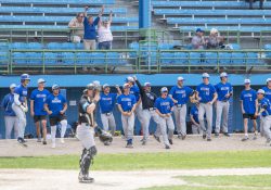 The KCC baseball team cheers from the dugout during a game.