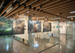 Landscape photos on display in the gallery.