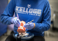 Close-up of a Dental Hygiene student practicing cleaning teeth on a model mouth.