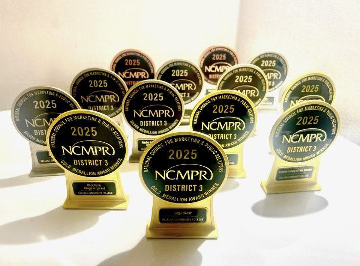 Thirteen Medallion Awards on a table.